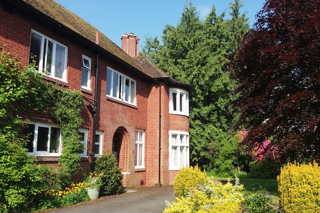Front of house with wonderful pink rhododendron and copper beech May 22nd, 2018