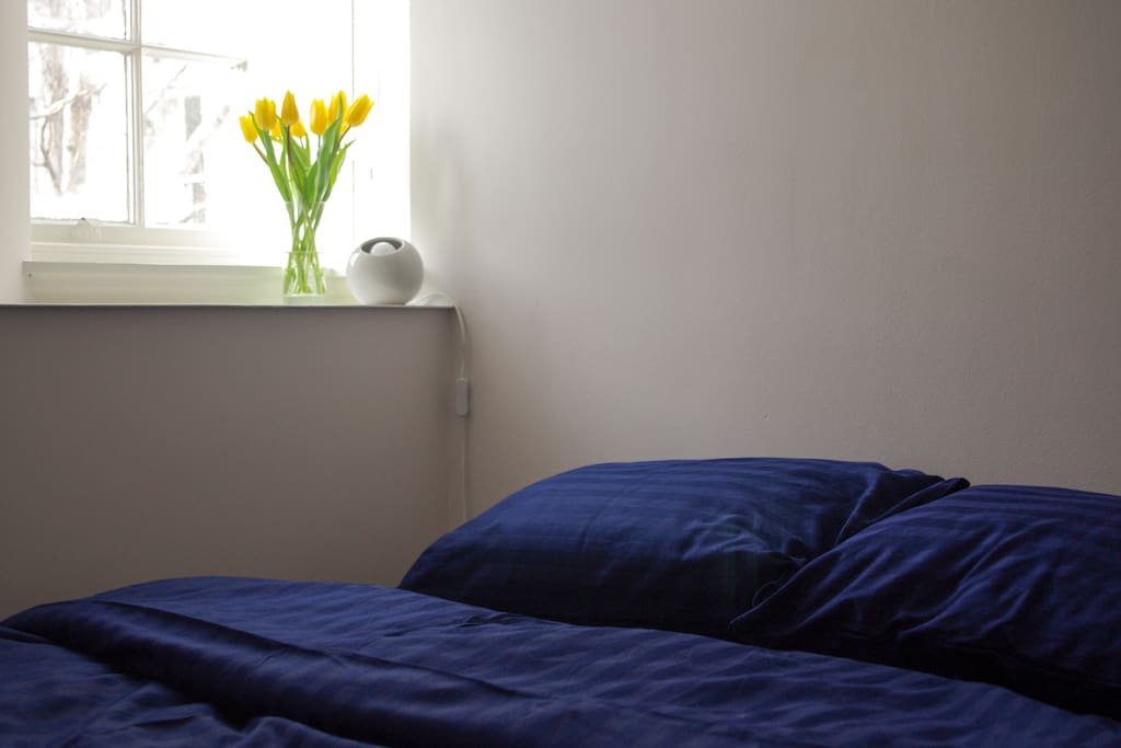 Bright double bedroom with very comfy bed.