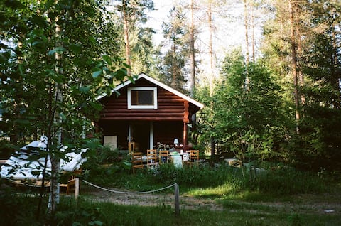Tiny forest cabin Orava