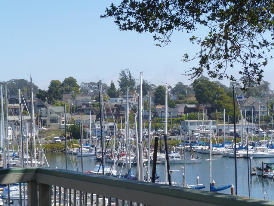 View from Deck