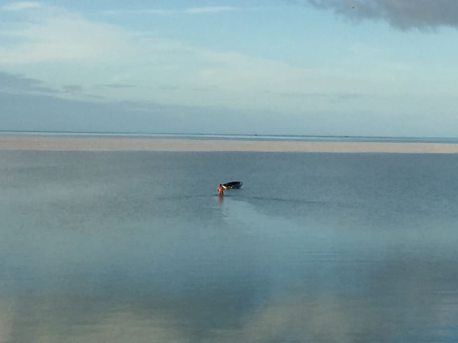 Walk out to the sand bar and explore
