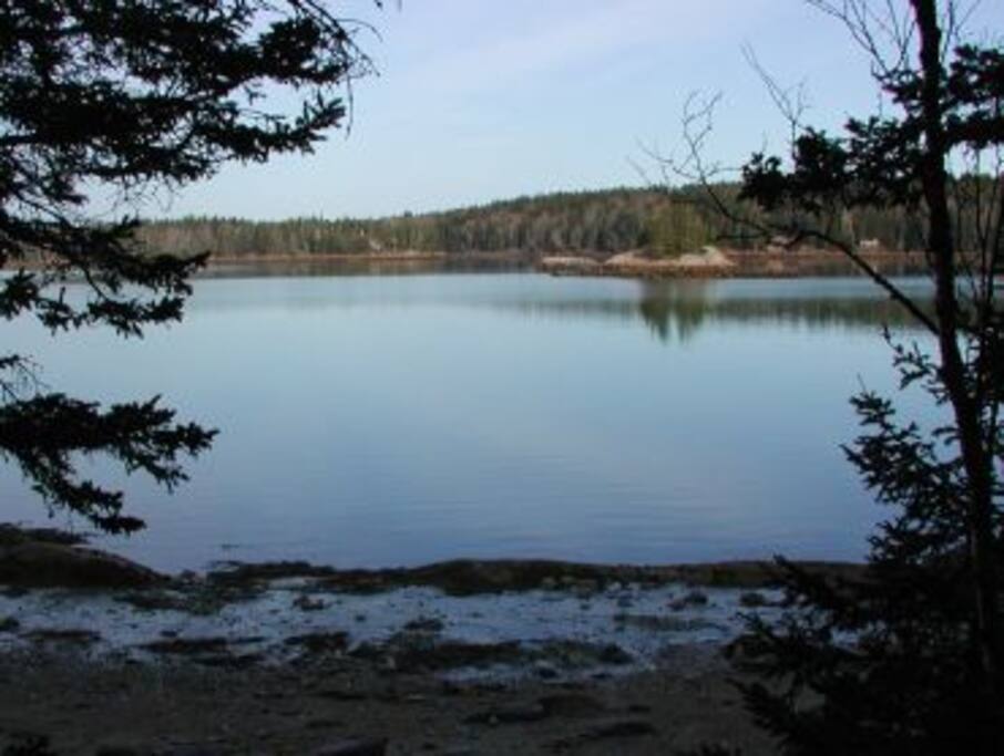 View of the bay