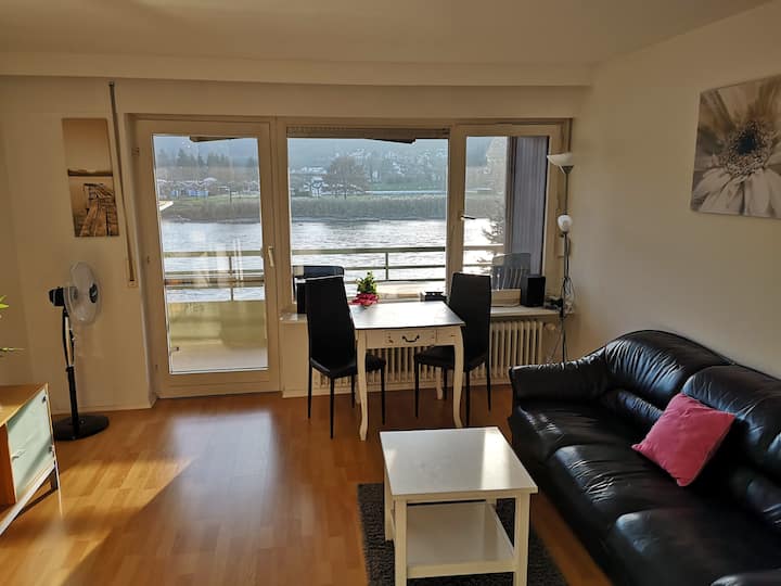 Gemütliche 1 Zimmer Rhein-wohnung - Hohentengen am Hochrhein