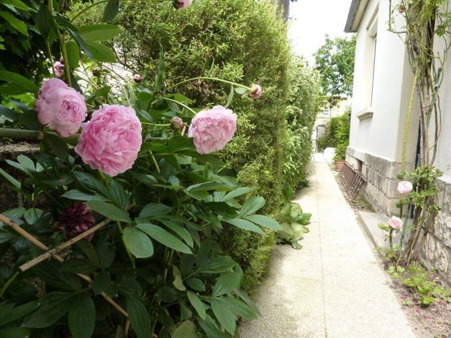 accès à la maison