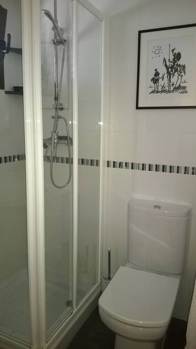 Ensuite Shower to Master Room