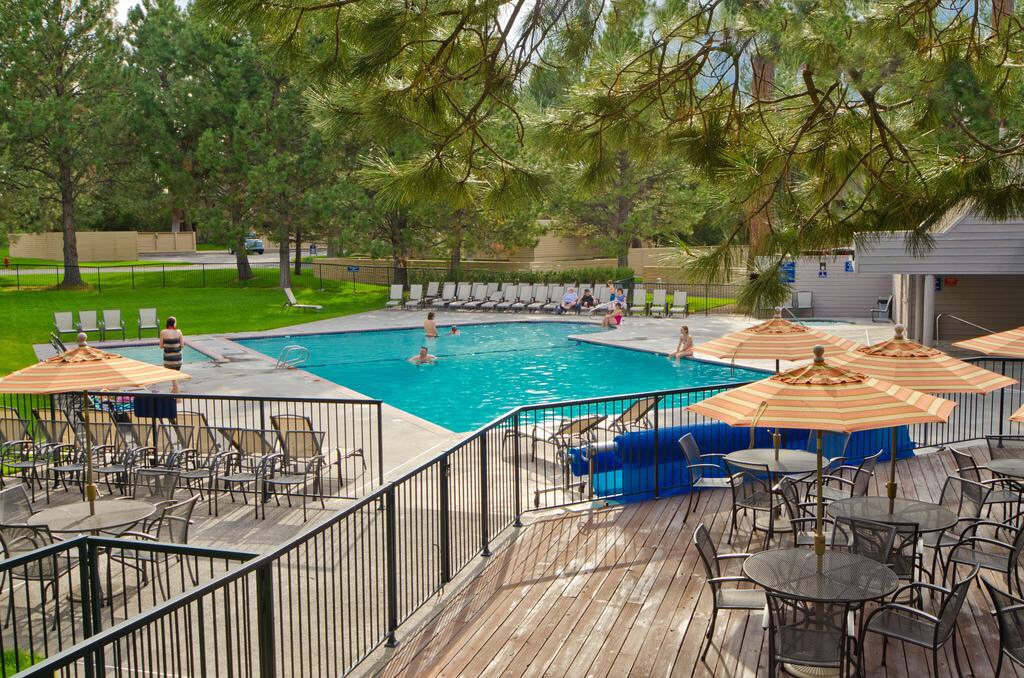 A large outdoor swimming pool is surrounded by neatly arranged lounge chairs and shaded areas beneath colorful umbrellas. Lush green trees frame the scene, providing a natural backdrop for guests enjoying leisure time around the pool area.
