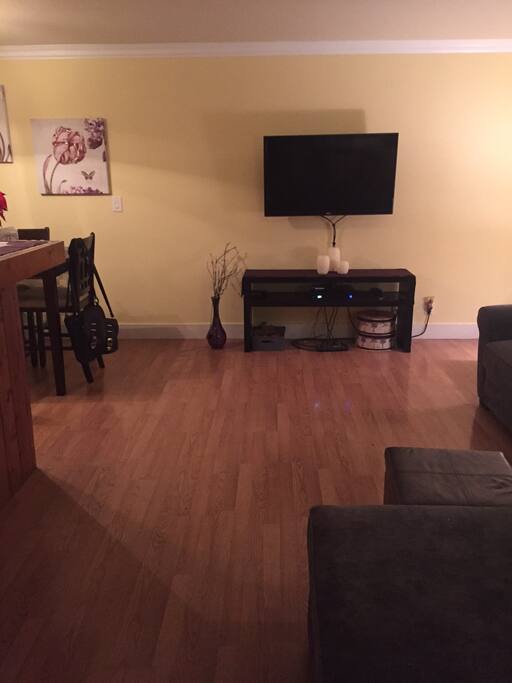 Living room (view from the entry)