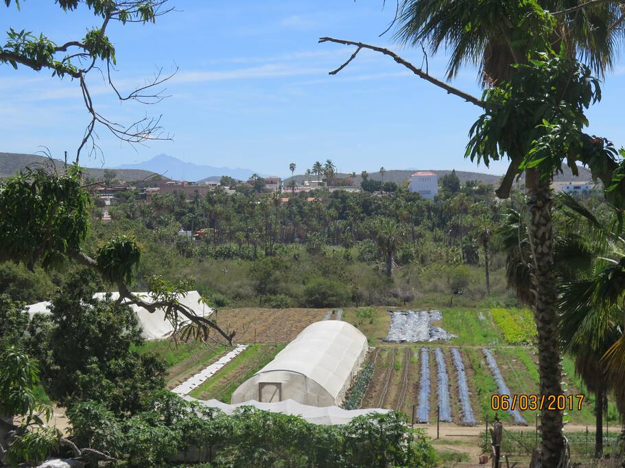 View of Todos Santos from The Wave