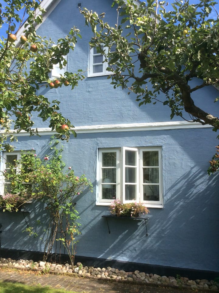 Malmö Vacation Rentals & Homes Skåne County, Sweden Airbnb