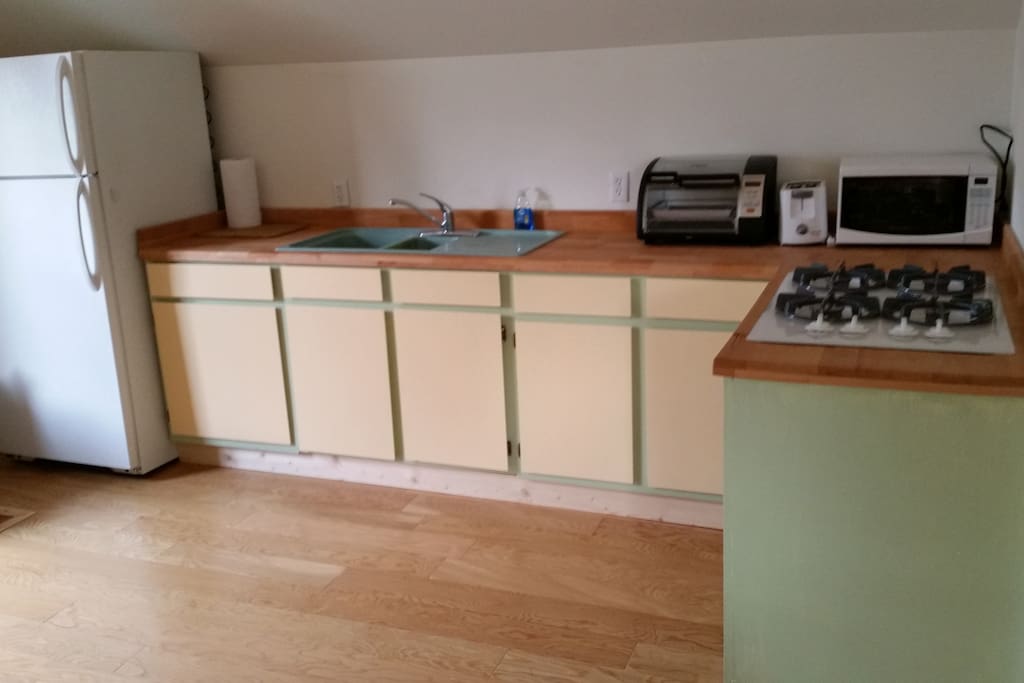 full sized fridge, plenty of space