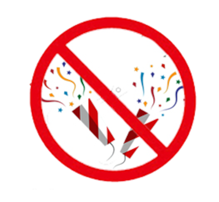 NO PARTIES ARE PERMITTED. TO VIOLATE THIS RULE, WILL OCCASION TO BE EVICTED IMMEDIATELY, WITH THE POLICE.