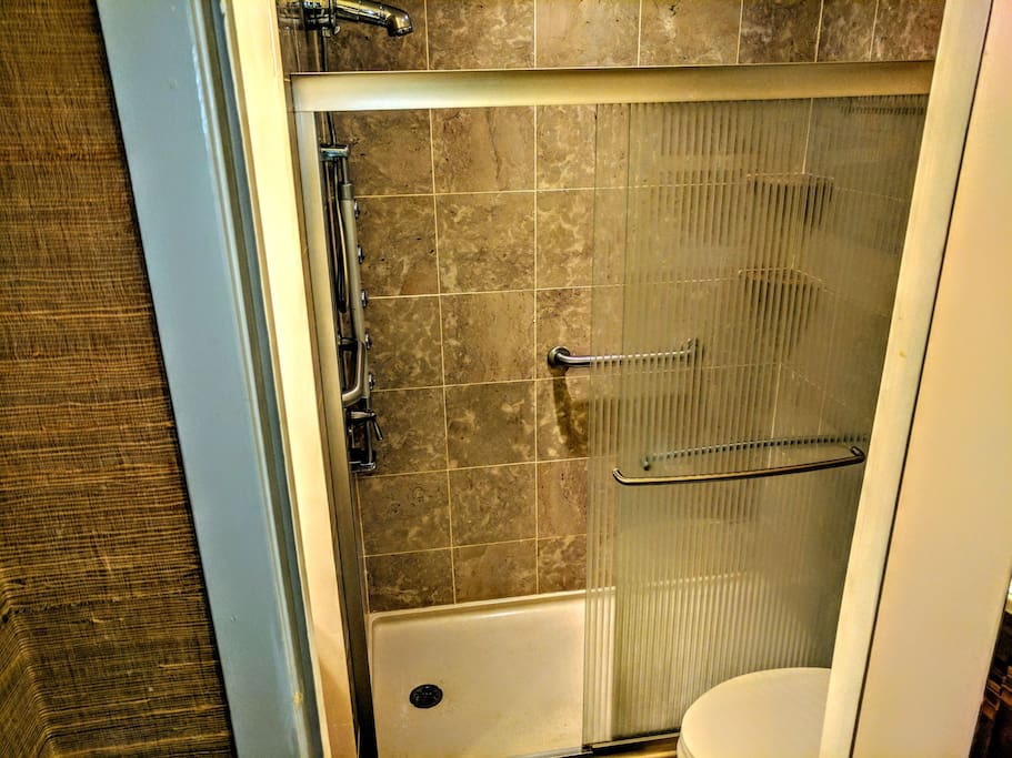 Master Bedroom Private Bath's Walk In Vertical Spa Shower with vertical jets