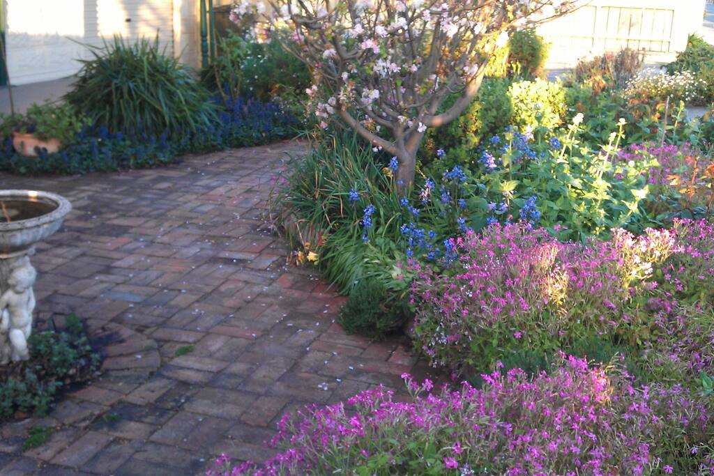 Front garden in spring