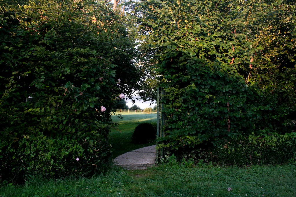 Access to the garden from the street.