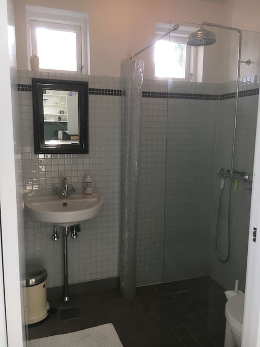 Bathroom and toilet