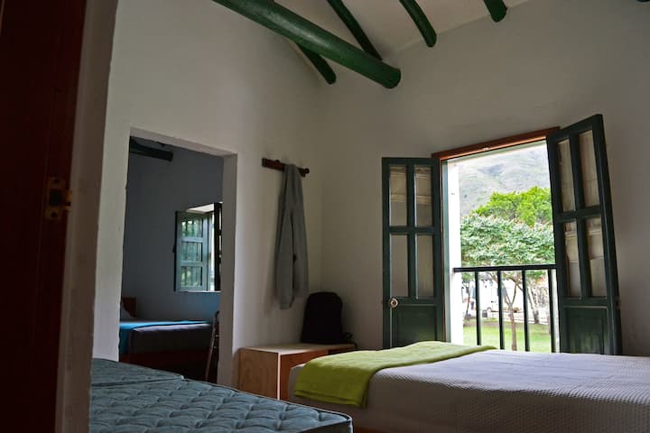 Соба за 4 лица со поглед на паркот