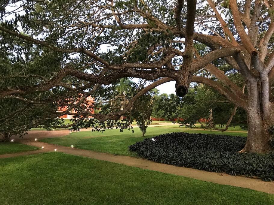 Hacienda's gardens