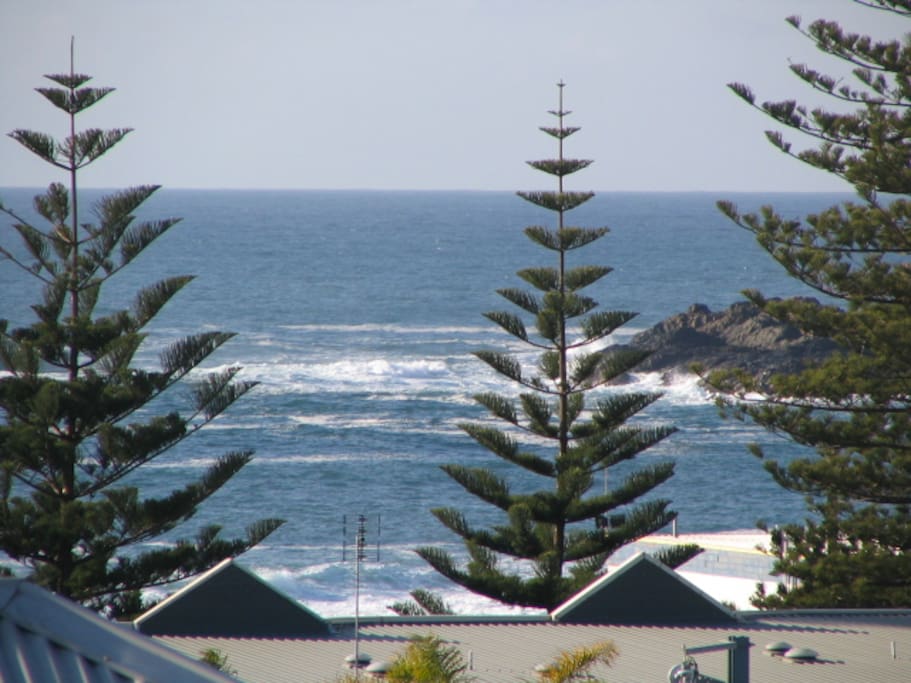 View from back verandah