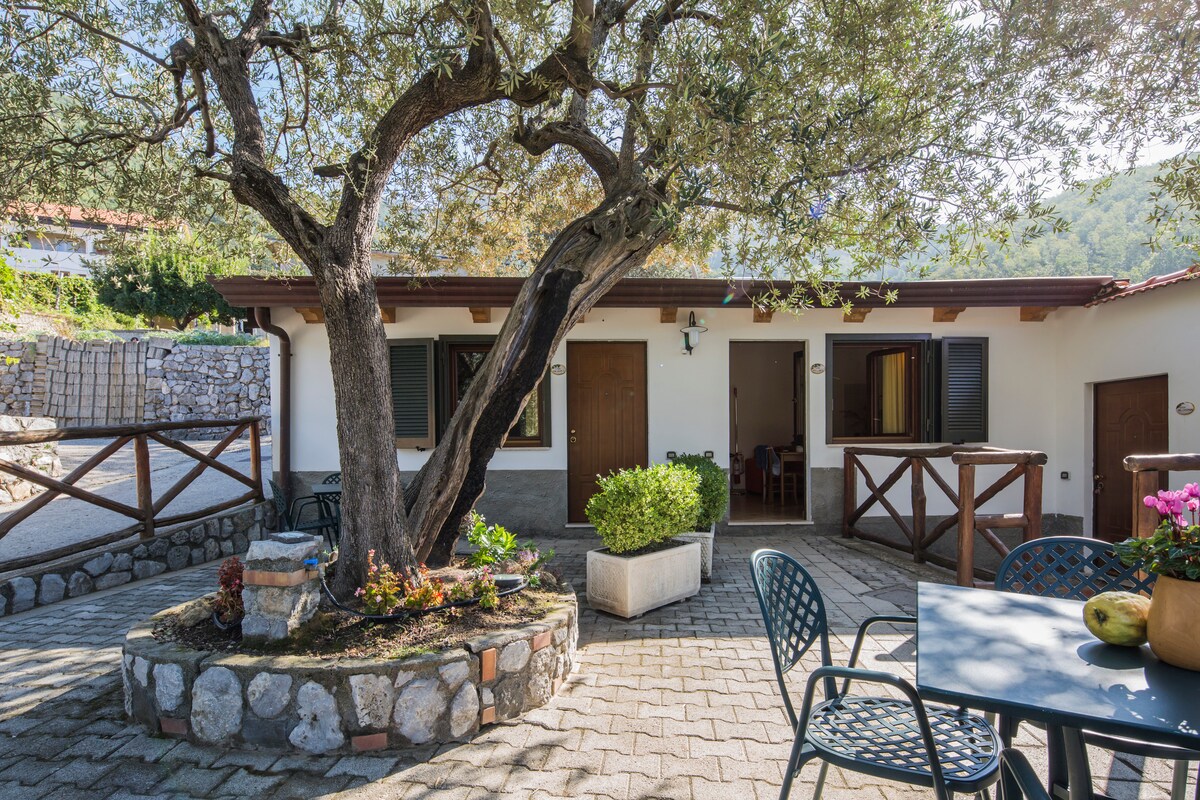 A charming exterior view of the apartment is framed by a large olive tree, providing natural shade. The entrance is flanked by wooden shutters, with a cozy seating area featuring a round table and chairs nearby. Stone paths lead through the well-kept garden.