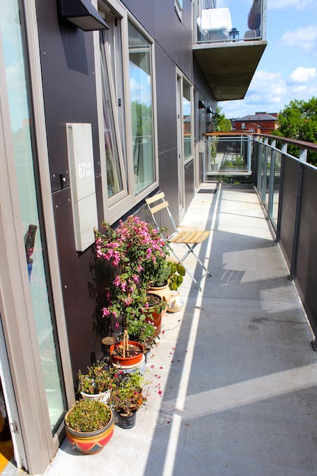 The front entrance that gets morning sun