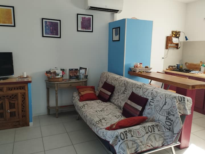 Meublé Près De L'ardèche. 
D'environ 40 M 2 - Saint-Martin-d'Ardèche