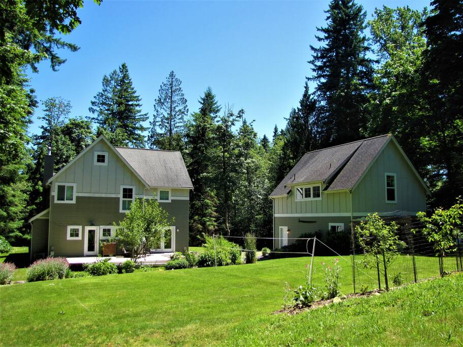 View from the woods surrounding the cabin