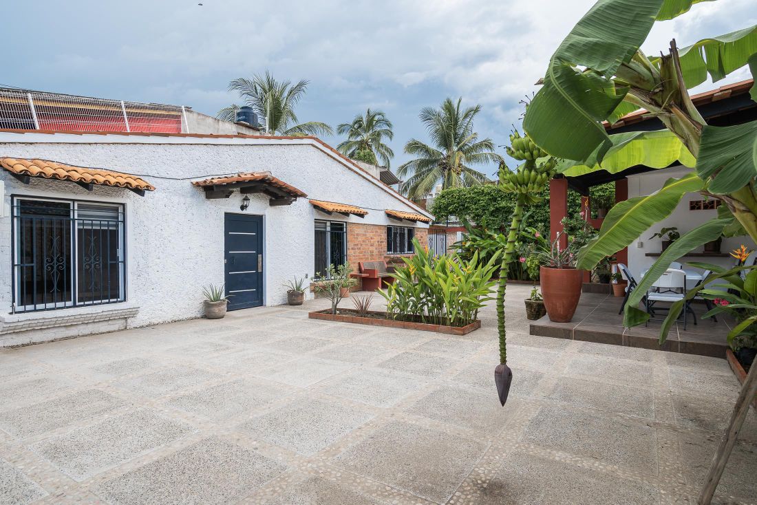 The exterior of the house features a spacious paved area surrounded by tropical plants and palm trees. A decorative hanging plant adds visual interest, while a covered seating area is seen in the background, offering a shaded space for relaxation.