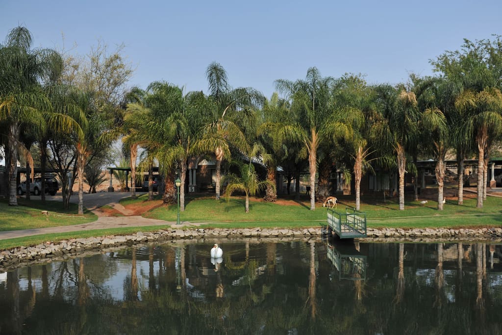 Garden with pond.