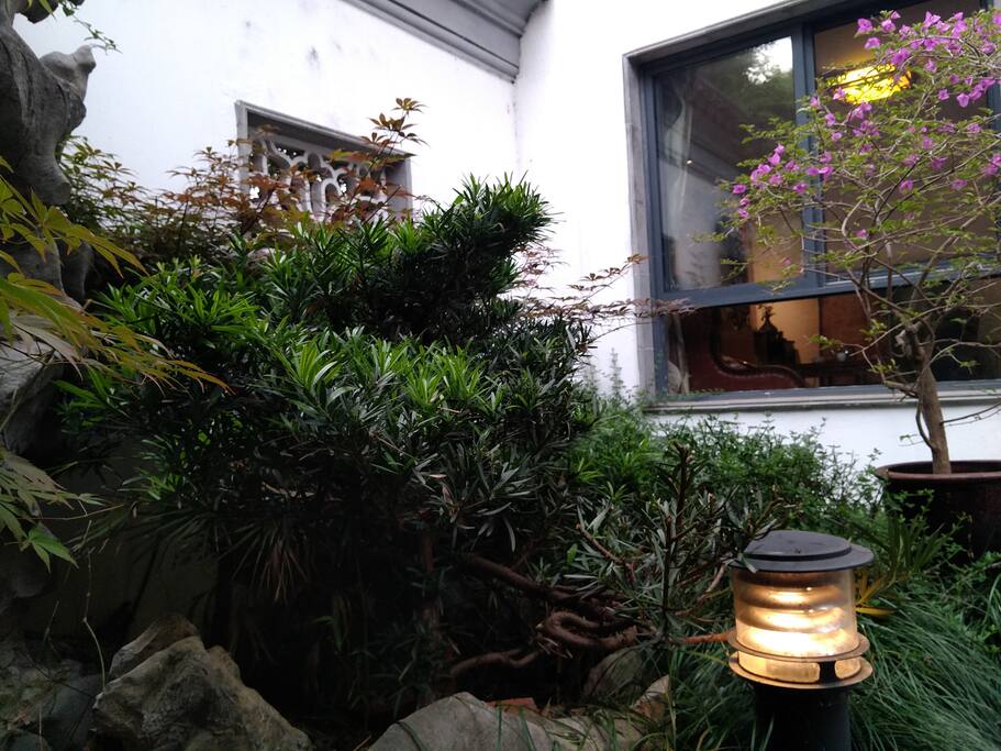 小院