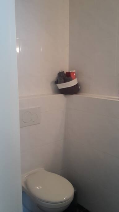 Small bathroom with toilet