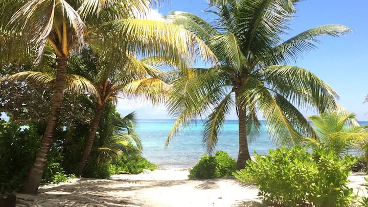 TROPICAL HAVEN HIDDEN BEACH AKUMAL