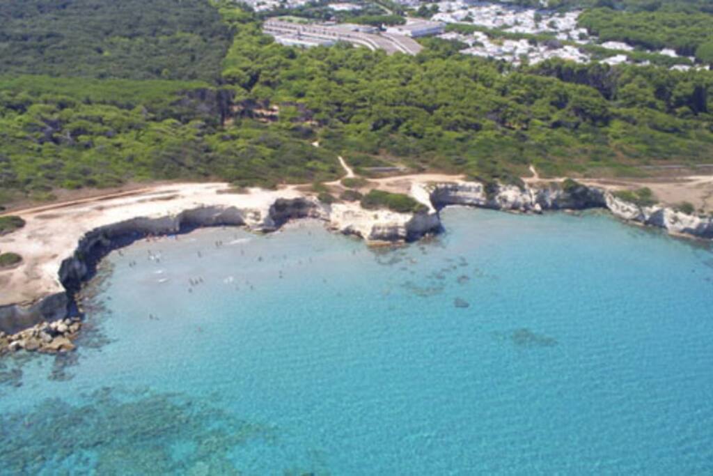 Veduta aerea villaggio pineta e costa