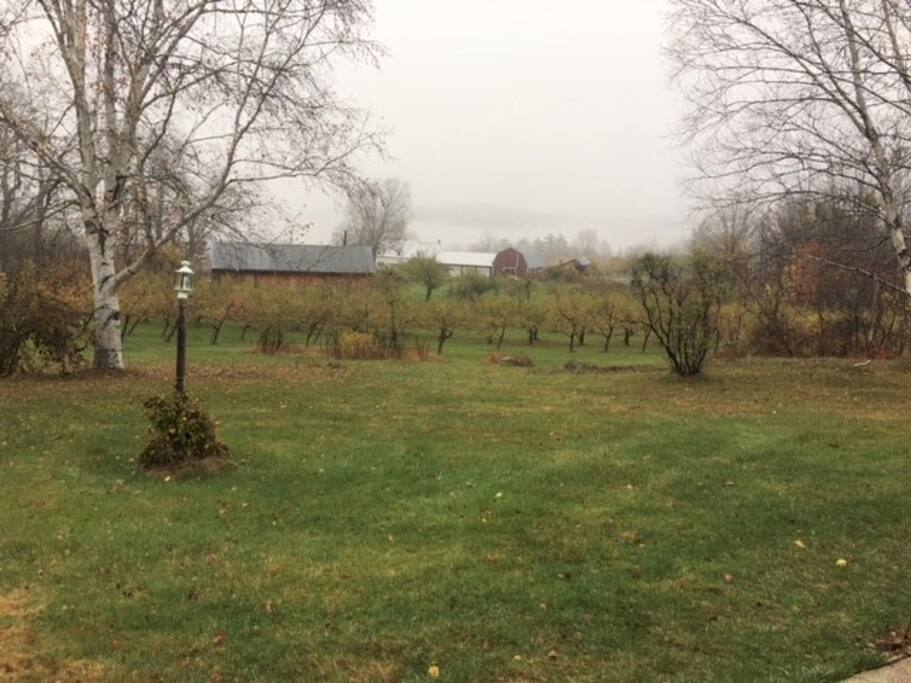 View from the front stoop down to the neighboring farm which is a working orchard.
