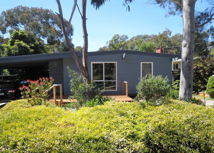 9 Best PetFriendly Airbnbs In Anglesea, Australia Updated 2024 Trip101