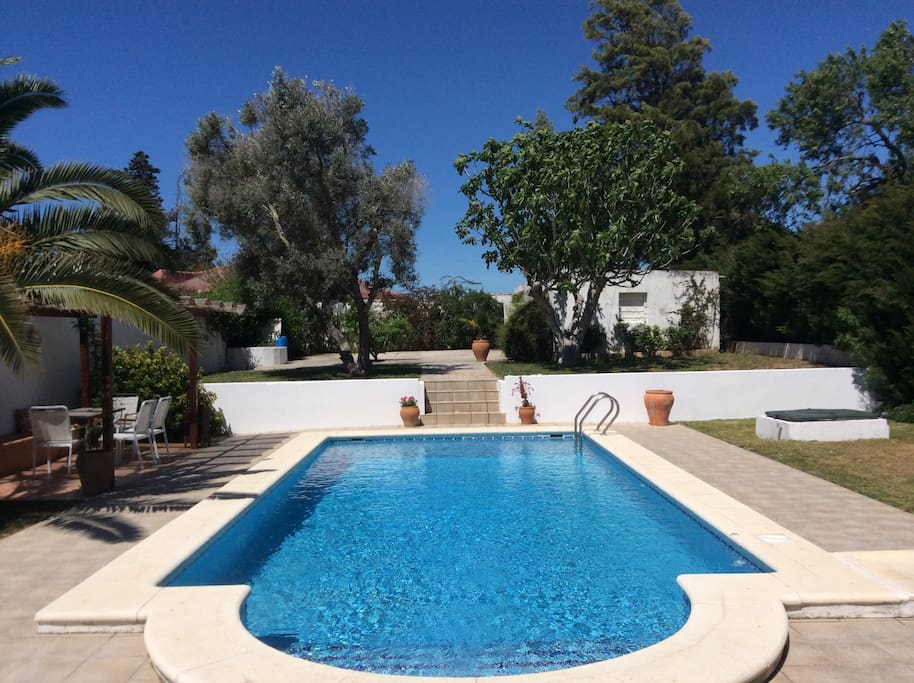 Pool and Garden