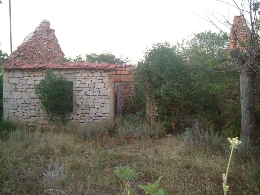 The house 2010 before renovation