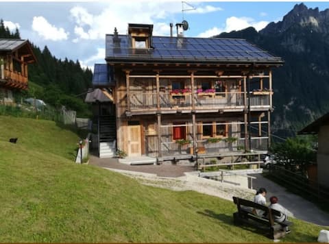 traditional alpine house