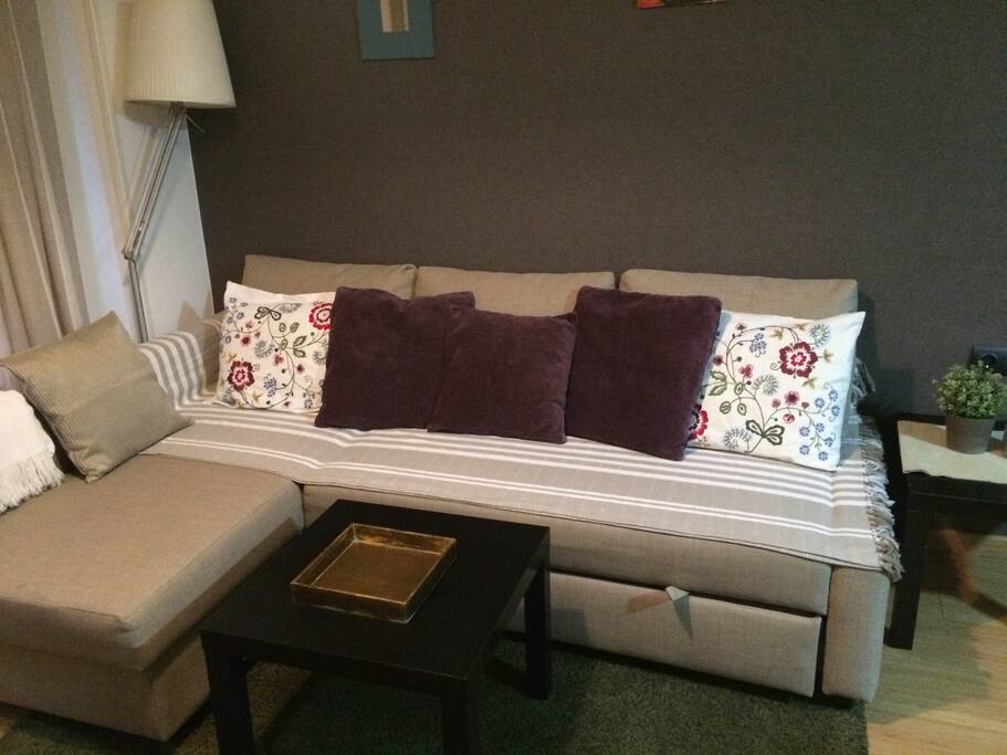 Sofá cama / Sofa bed