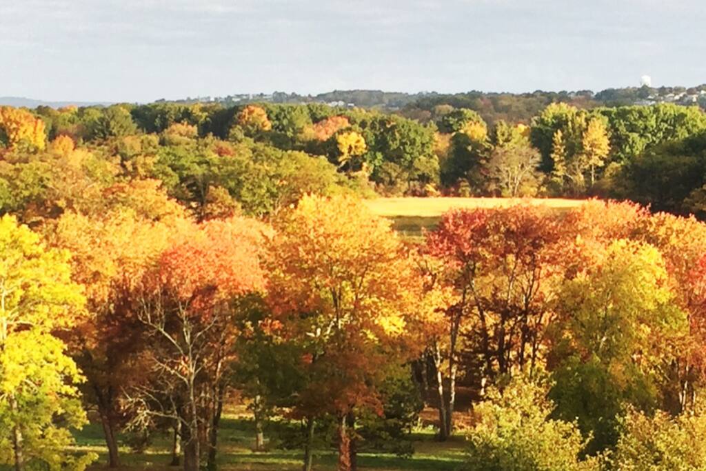 Marsh View in the Fall