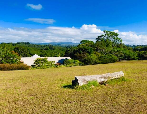 Passion Valley Studio