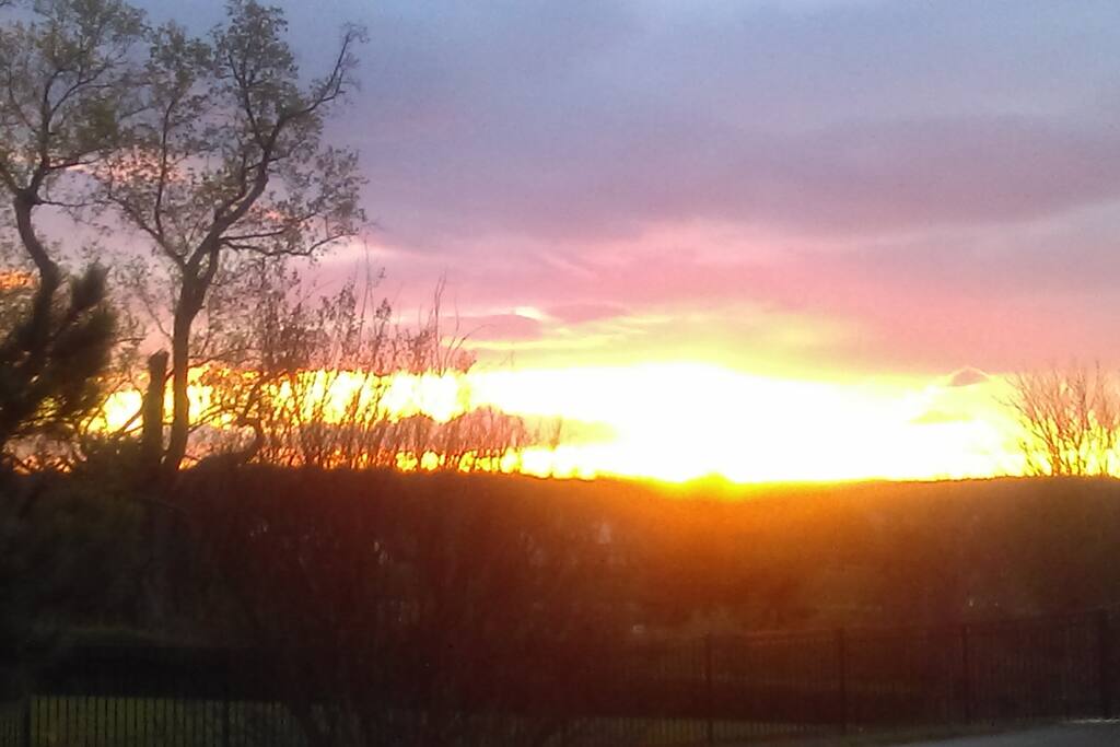 cc77fc7d fd9e 41ba 8147 03ec090468c2