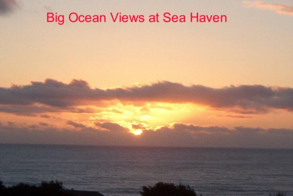 Picture taken out dining room window