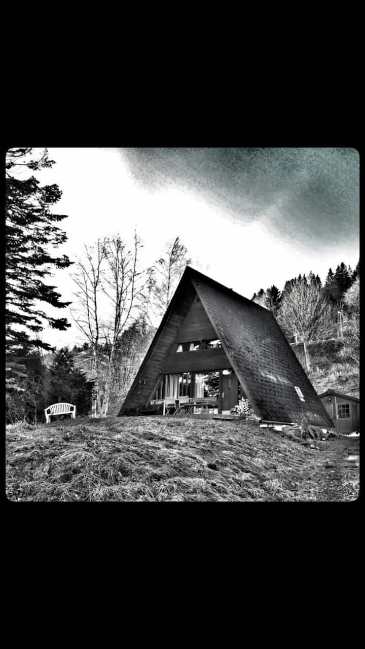 Waterfront Chalet Lac de Joux