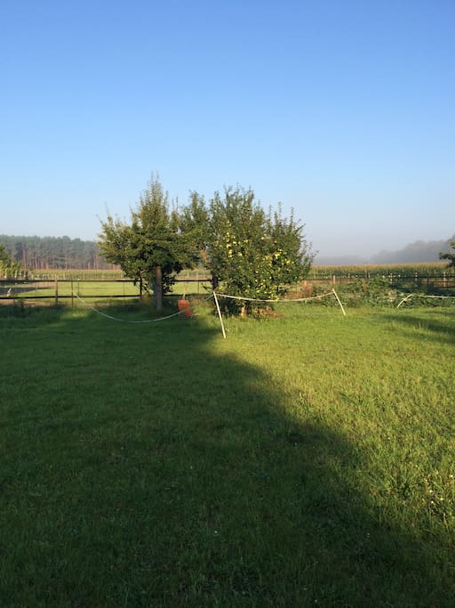Obstgarten und Koppeln