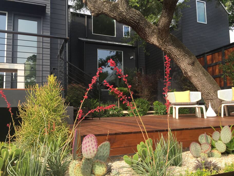 Lovely back yard