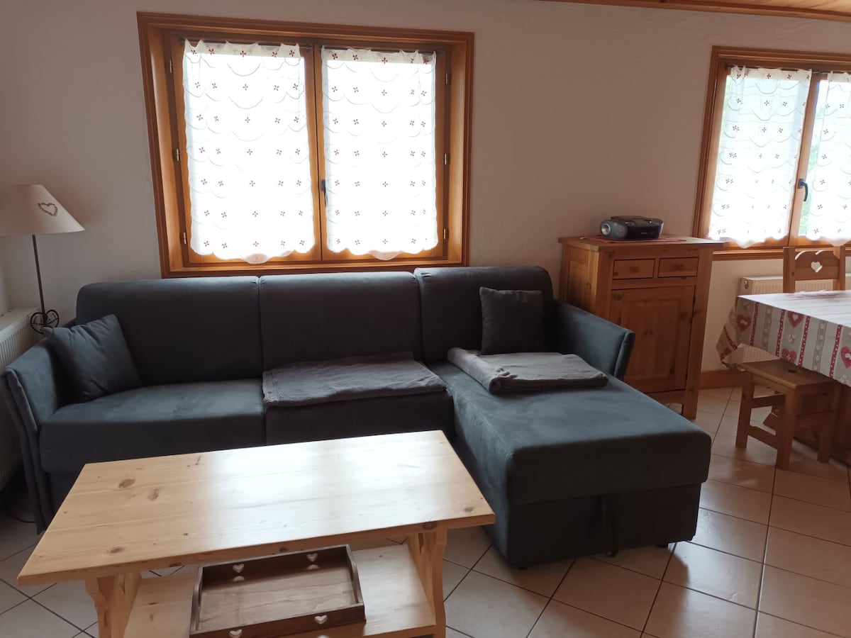 Popular Airbnb listing: L'Arvi de Passy cozy apartment in Passy