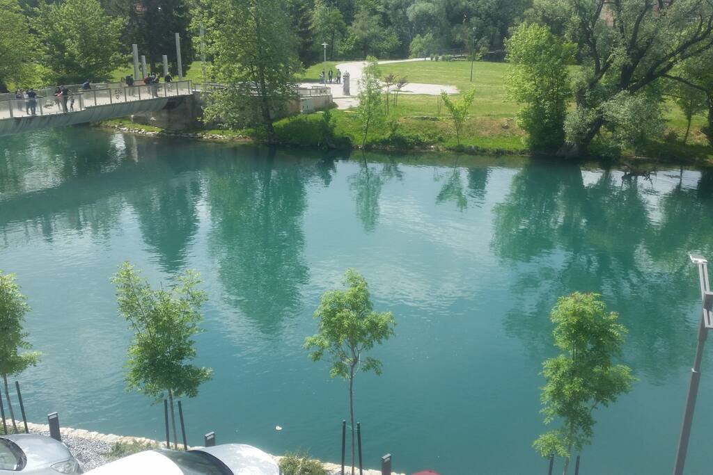 pogled