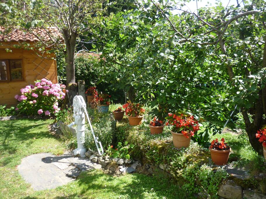 jardin très fleuri