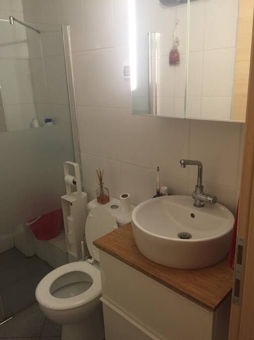 The toilet and washbasin