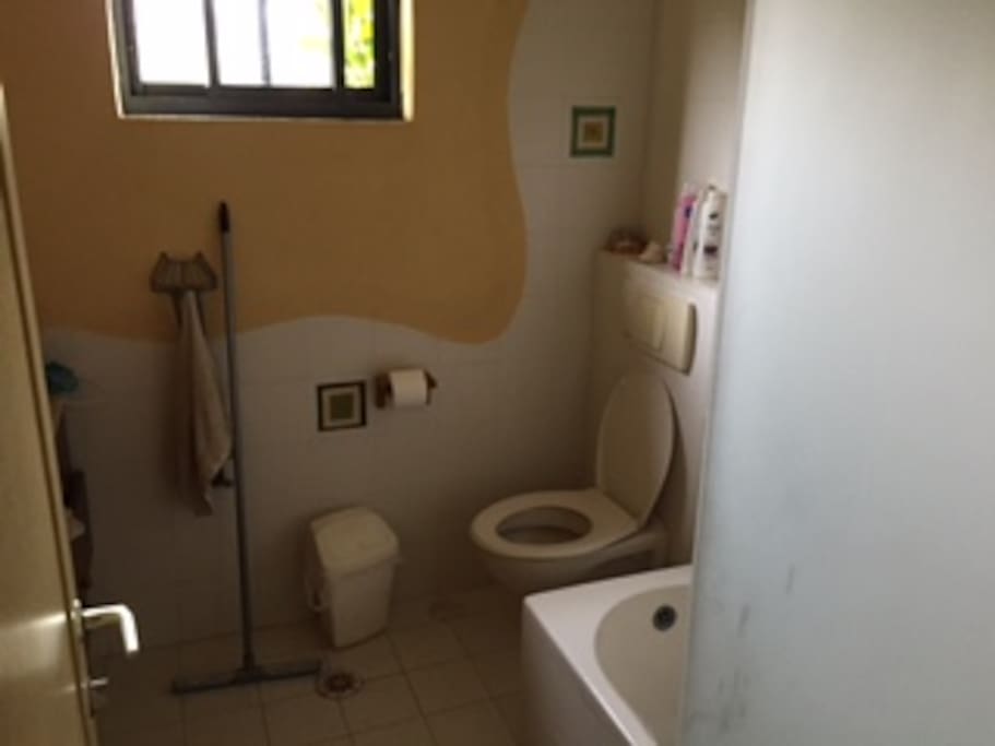 toilet and bath